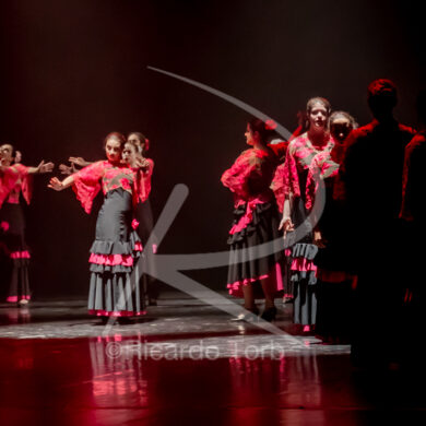 O ESPÍRITO DA DANÇA - 0480