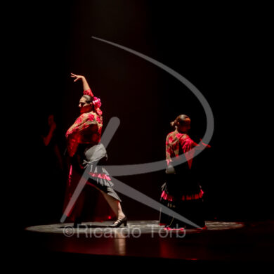 O ESPÍRITO DA DANÇA - 0481