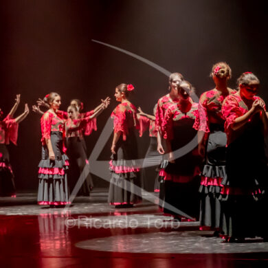 O ESPÍRITO DA DANÇA - 0482