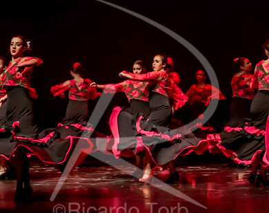 O ESPÍRITO DA DANÇA - 0483