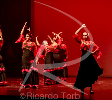 O ESPÍRITO DA DANÇA - 0484