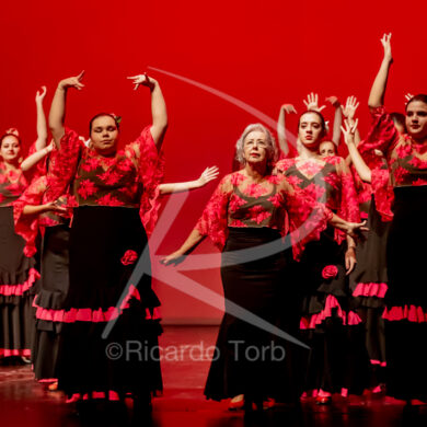 O ESPÍRITO DA DANÇA - 0485