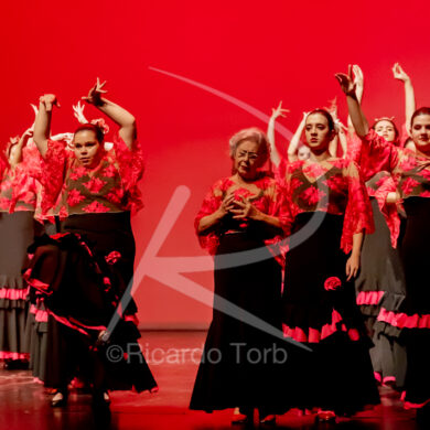 O ESPÍRITO DA DANÇA - 0486