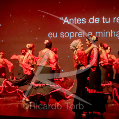 O ESPÍRITO DA DANÇA - 0487