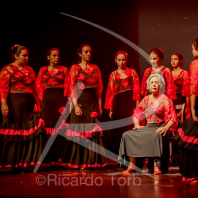 O ESPÍRITO DA DANÇA - 0490