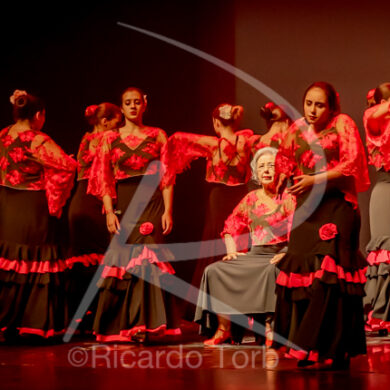 O ESPÍRITO DA DANÇA - 0491