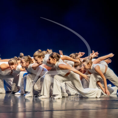 O ESPÍRITO DA DANÇA - 0500