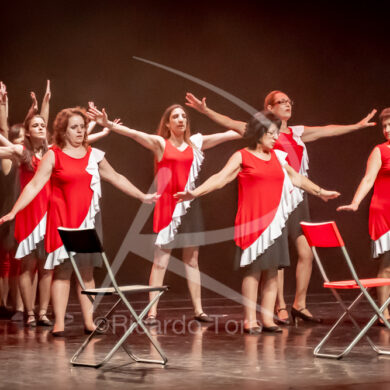 O ESPÍRITO DA DANÇA - 0513