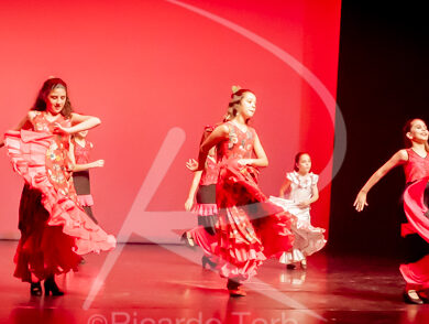 O ESPÍRITO DA DANÇA - 0533