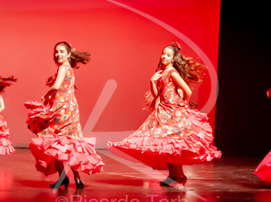 O ESPÍRITO DA DANÇA - 0534