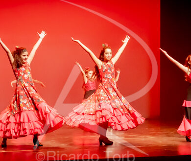 O ESPÍRITO DA DANÇA - 0536