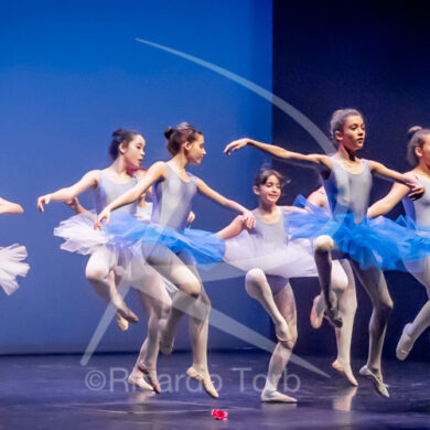 O ESPÍRITO DA DANÇA - 0539