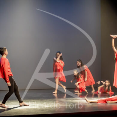 O ESPÍRITO DA DANÇA - 0556