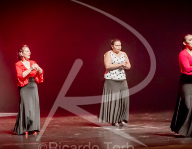 O ESPÍRITO DA DANÇA - 0571