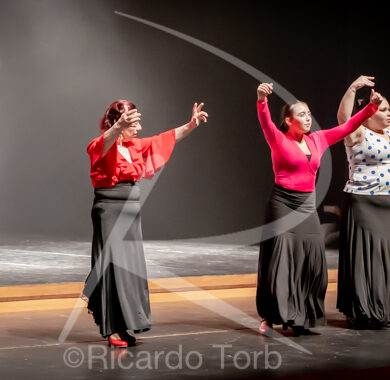 O ESPÍRITO DA DANÇA - 0576