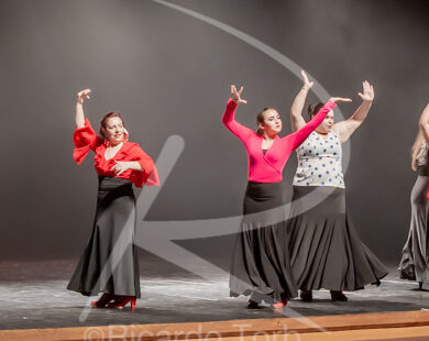 O ESPÍRITO DA DANÇA - 0577