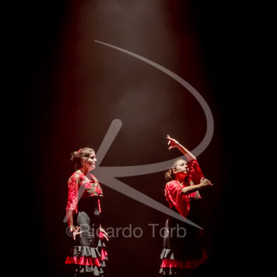 O ESPÍRITO DA DANÇA - 0600