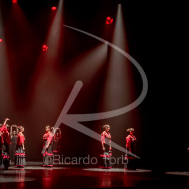 O ESPÍRITO DA DANÇA - 0602