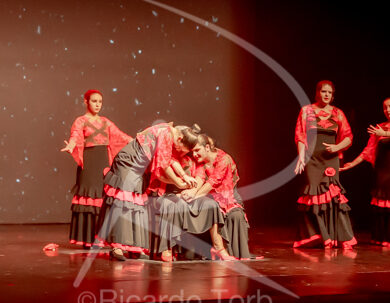 O ESPÍRITO DA DANÇA - 0605