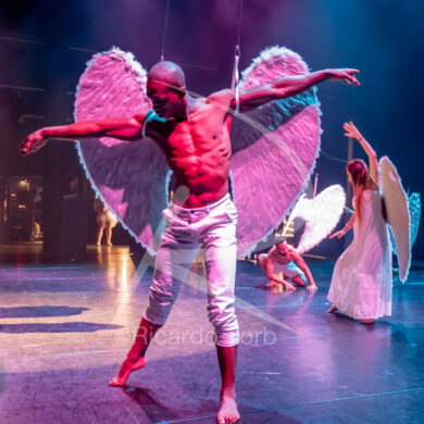 Dança, meu Amor! - 0002