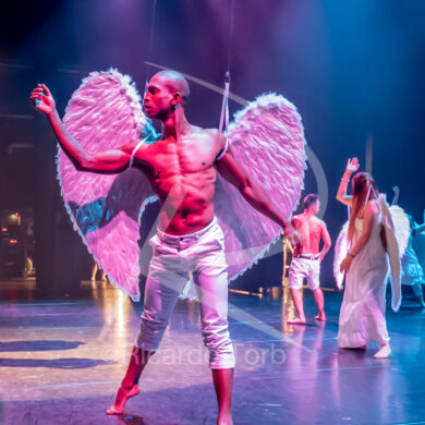 Dança, meu Amor! - 0003